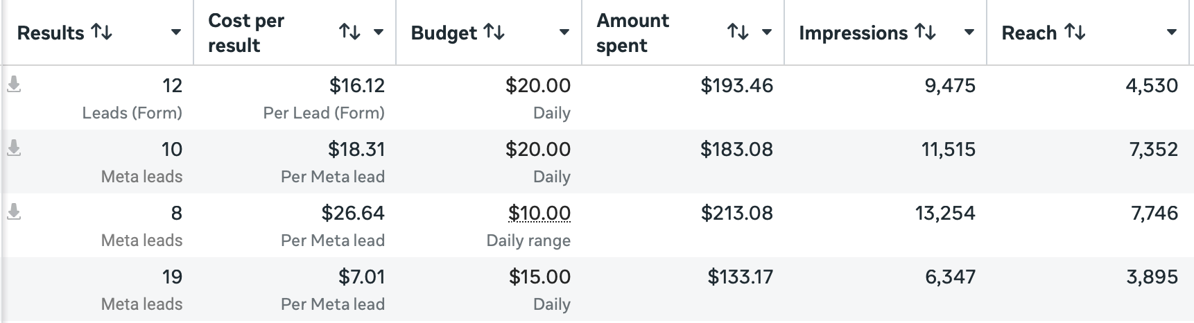 Mandzic Detailing Meta Ads Manager Results
